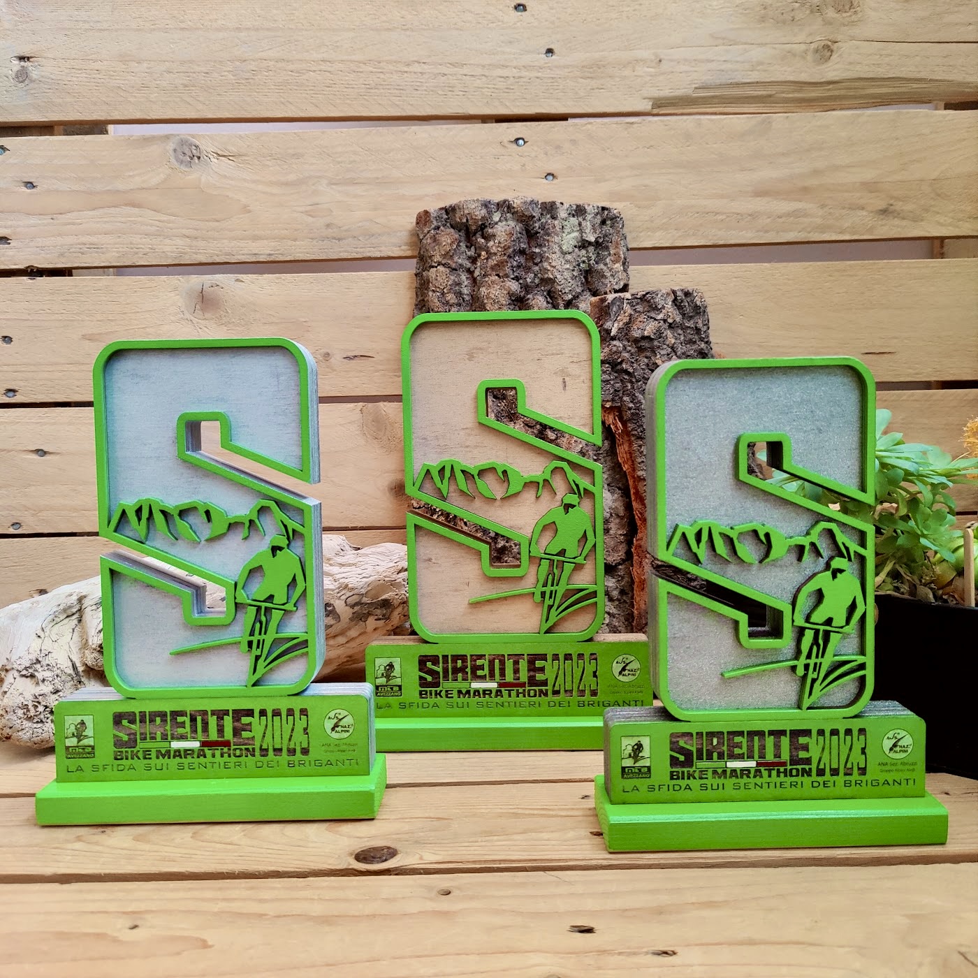 trofeo-personalizzato-legno-bike-bicicletta-gara-competizione